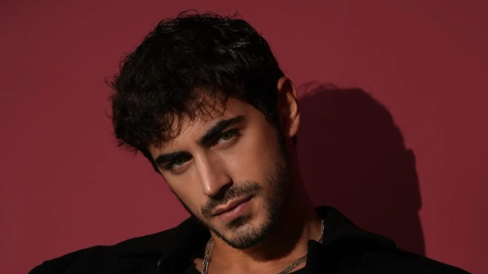 أمين غونينتش — صورة من تقرير المصدر الصحفي — الحقوق لأصحابها